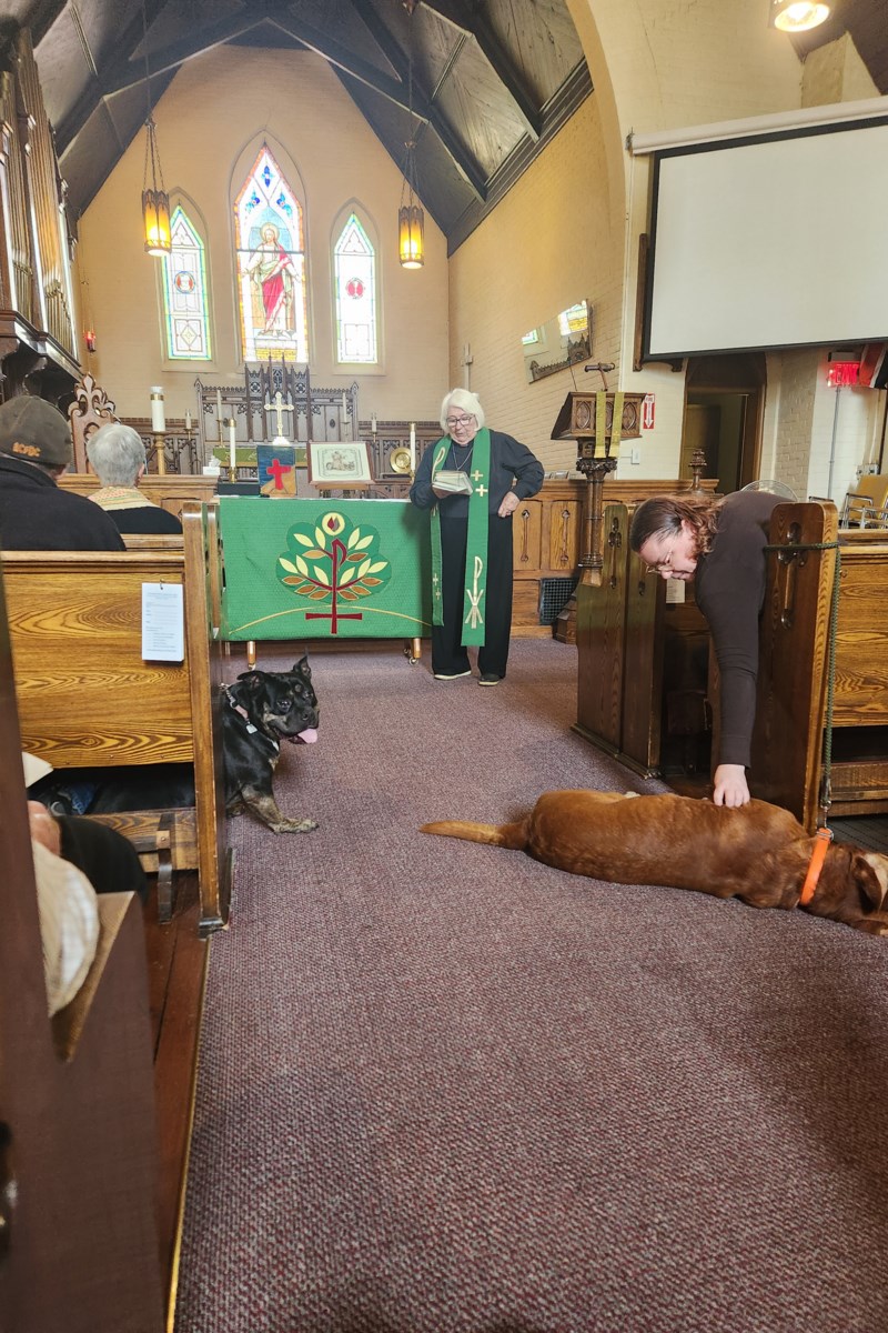 Area church goes to the dogs during Blessing of the Animals