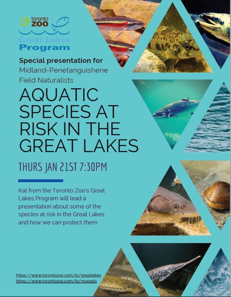 Great Lakes Poster 001