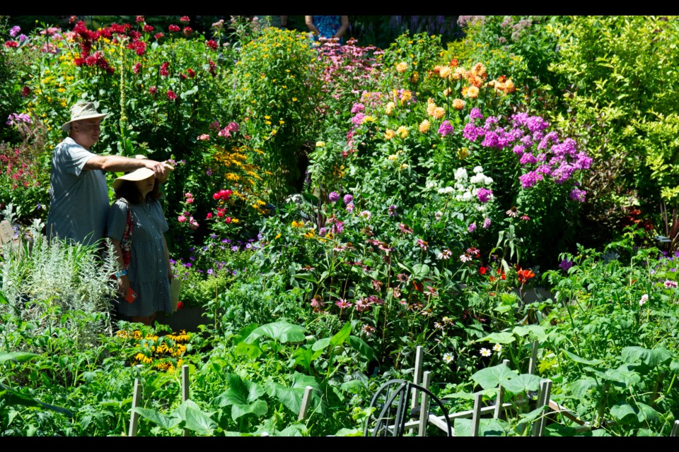 Wade Fornwald is the owner of Falling Apple Tapestry and has been working on his garden for 10 years this fall and you can tell the amount of work he has put into making it flourish. He grew up on a farm in Saskatchewan and gardening has been in his genes for generations. Some advice he could give to new gardeners is, “Start small. Pick a bed that’s 10’ x 10’ and then after that do another one. Things will die but don’t let it get to you.”