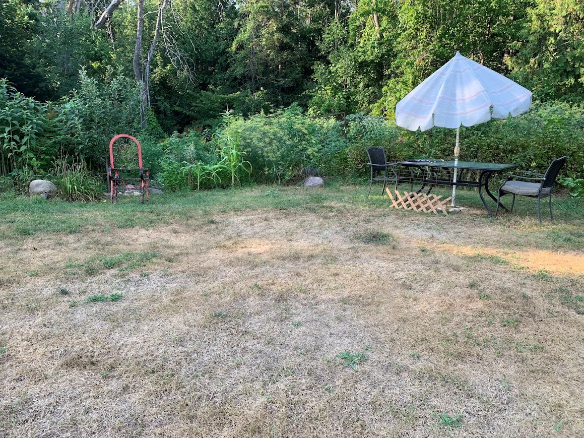 GARDENING: How to help your garden survive Ontario's dry summer
