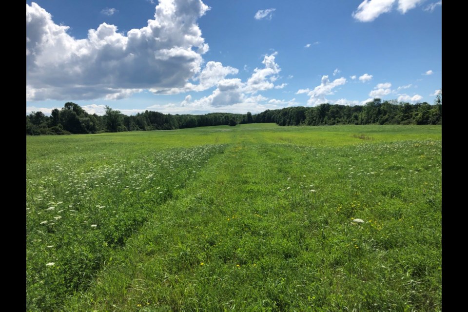 Property pictured here is a 48-acre chunk of land on Triple Bay Road in Tay Township for which Cherry Blossom Village is planned. Supplied photo. 