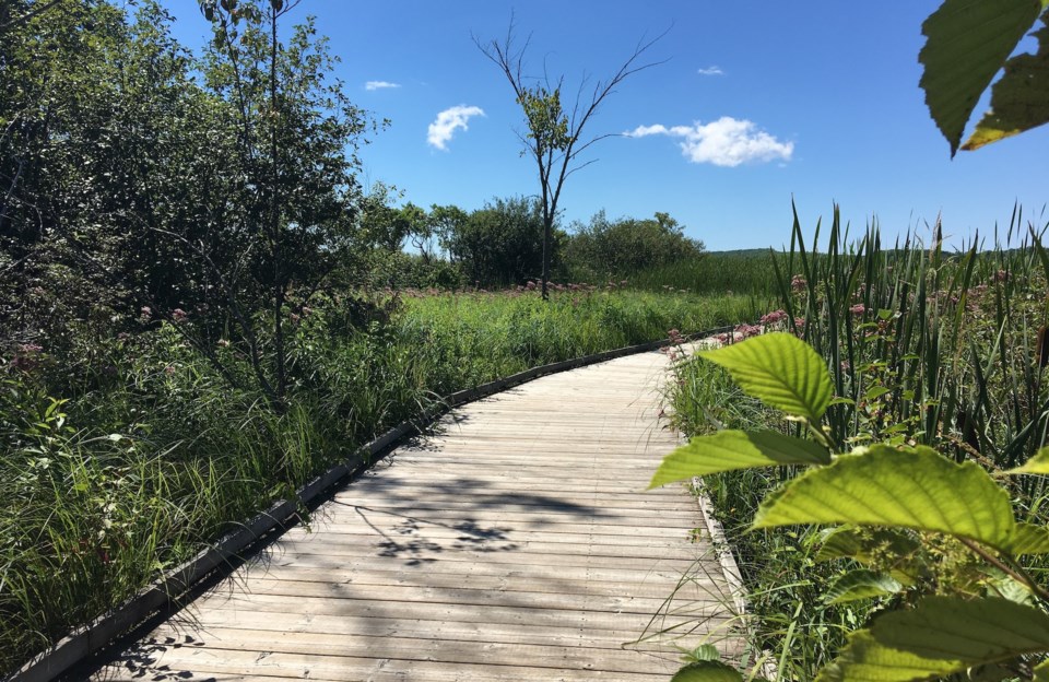 20240513-wye-marsh1