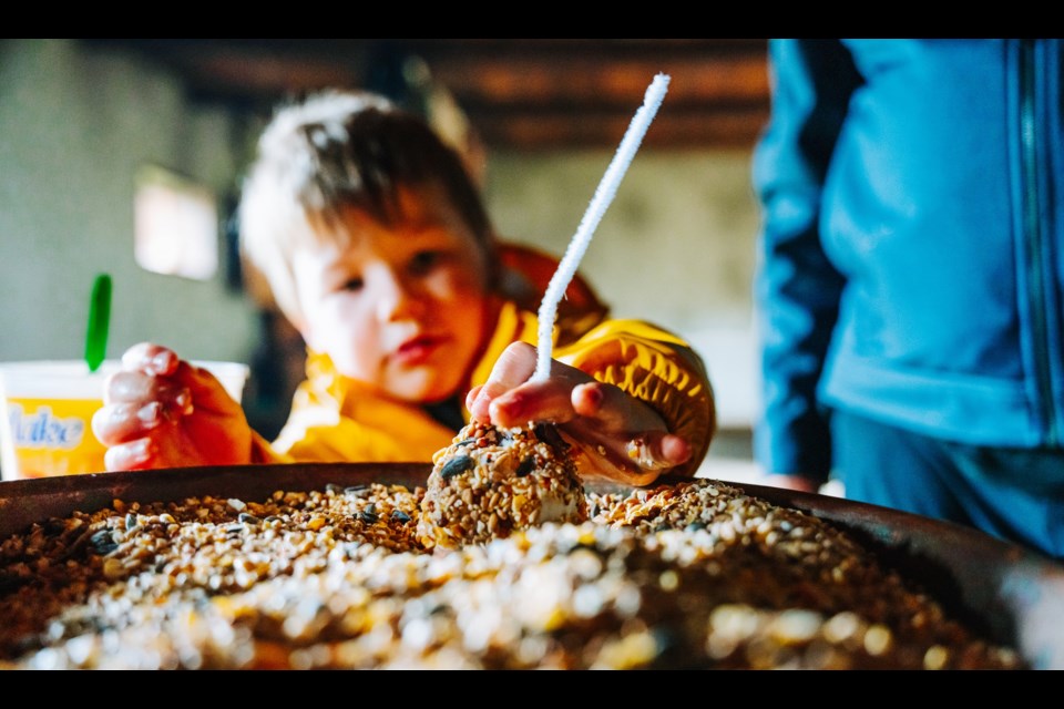 A child makes a bird feeder with lard, seeds and a pine cone at the 2022 Hometown Harvest Festival.