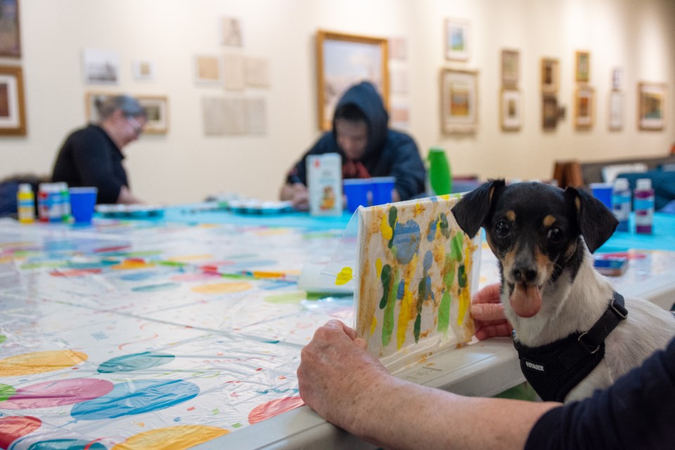 Zydeco seems pleased with a work of art created Saturday during the Painting with Your Dog event at the Huronia Museum.
