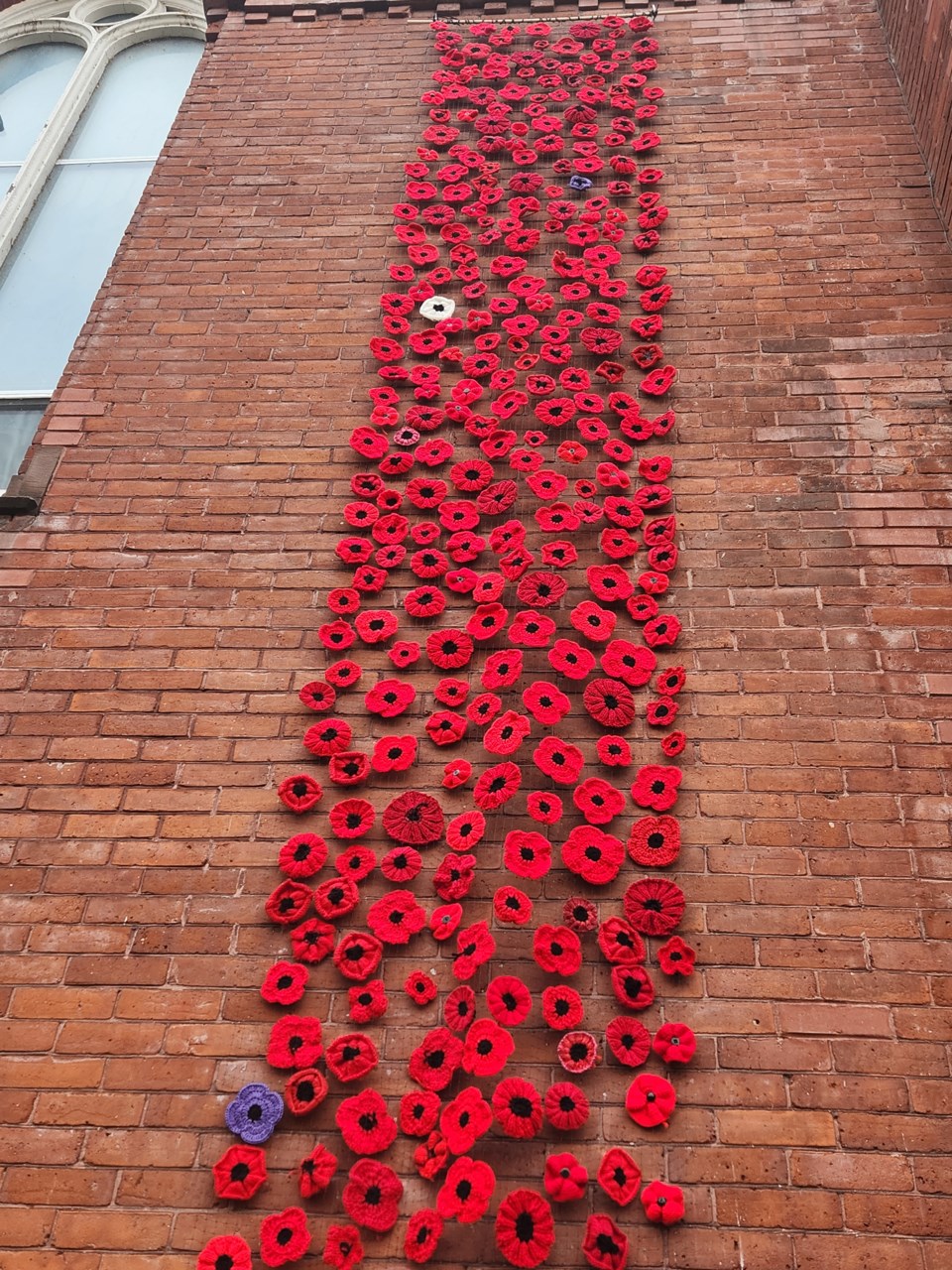 Vibrant poppies adorn Midland church as nearby banners