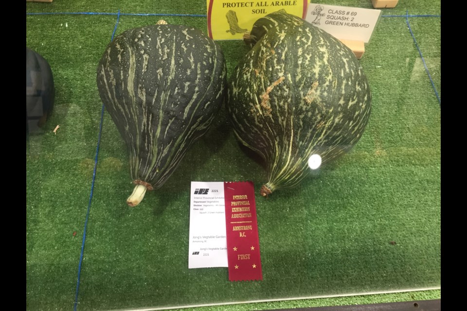 Prize winning squash and other vegetables from the authors boyhood home. Interior Provincial Exhibition, Armstrong B.C. René Hackstetter photo.