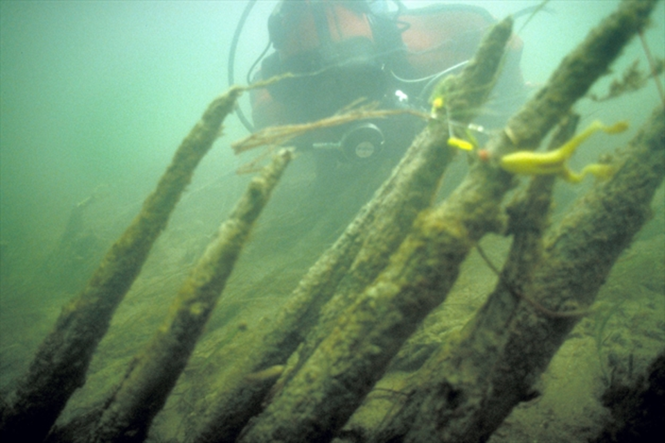 An underwater view of the historic Mnjikaning fish weirs.