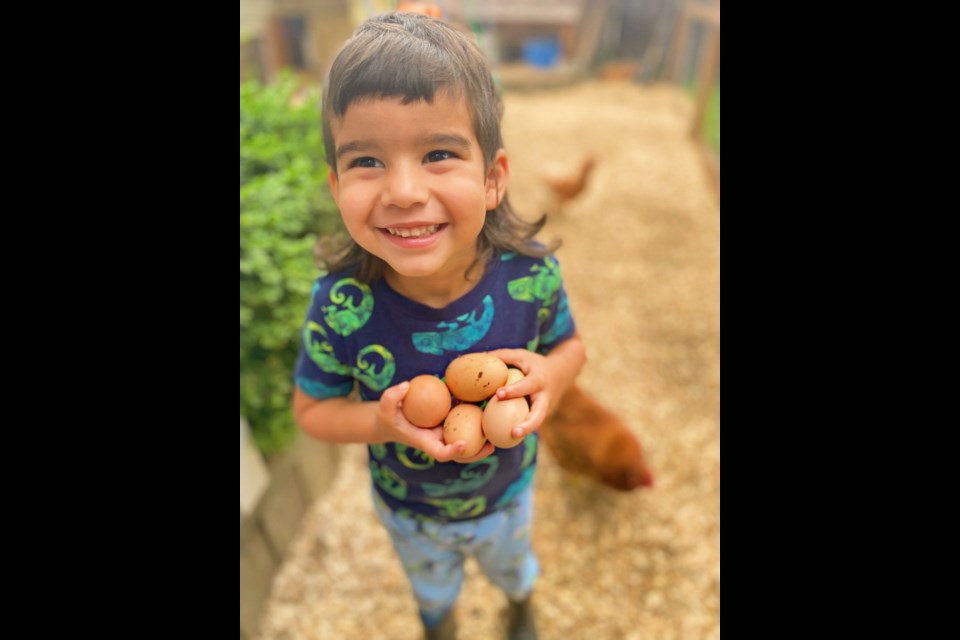 As part of his homeschooling, Vito Vessio raises chickens while learning about homesteading and living off the land.