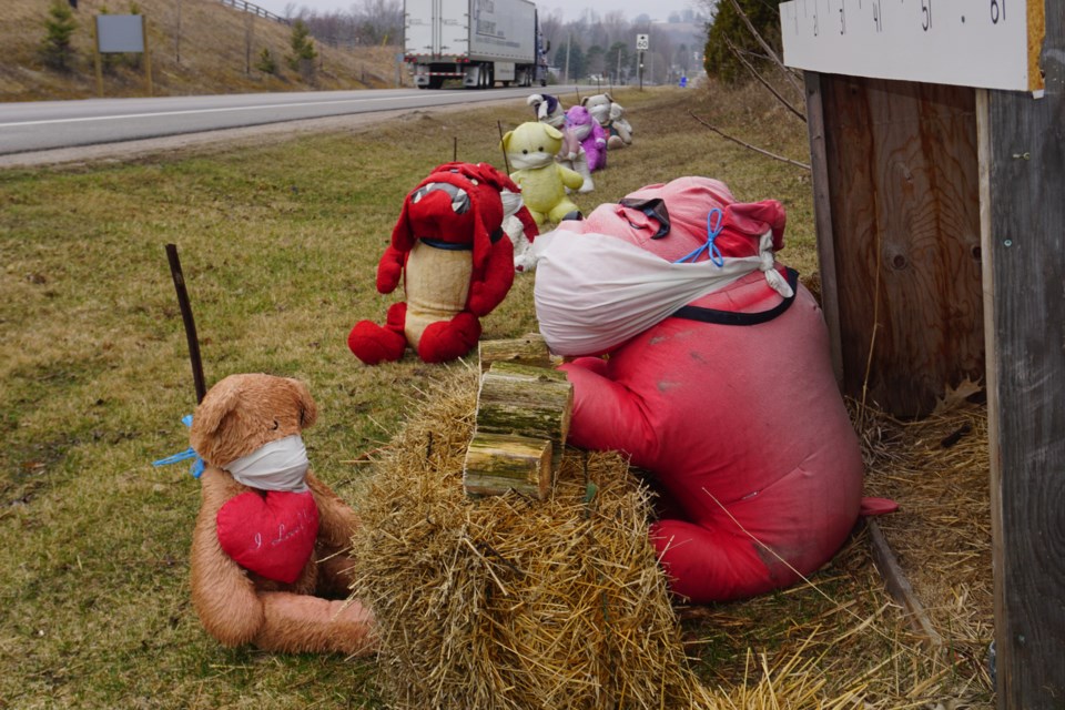           These bears have heard the messages about the importance of social distancing. Andrew Philips/MidlandToday                     