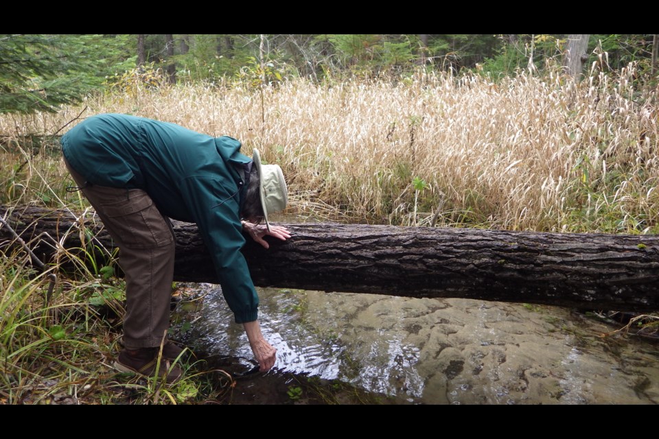 Severn Sound Environmental Association volunteer Pat Woodford is pictured here performing tasks from the Community Environmental Monitoring program. Supplied photo.