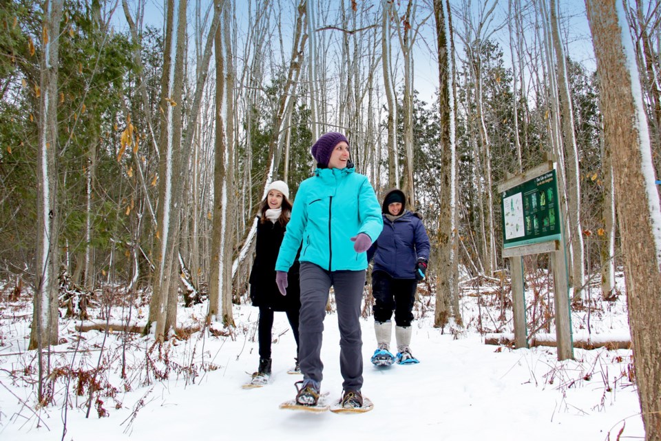 Wye Marsh employees Amanda Swift (left), Emily Metcalfe and Jennifer Pelletier, check out the trails on snowshoes. Wye Marsh is open daily all winter 9 a.m. to 5 p.m. for nature viewing on foot, snowshoes or cross-country skis. There are lots of specialized winter activities including bird and photography workshops, moonlight snowshoeing and children's programs. For more information go to the website: wyemarsh.com.