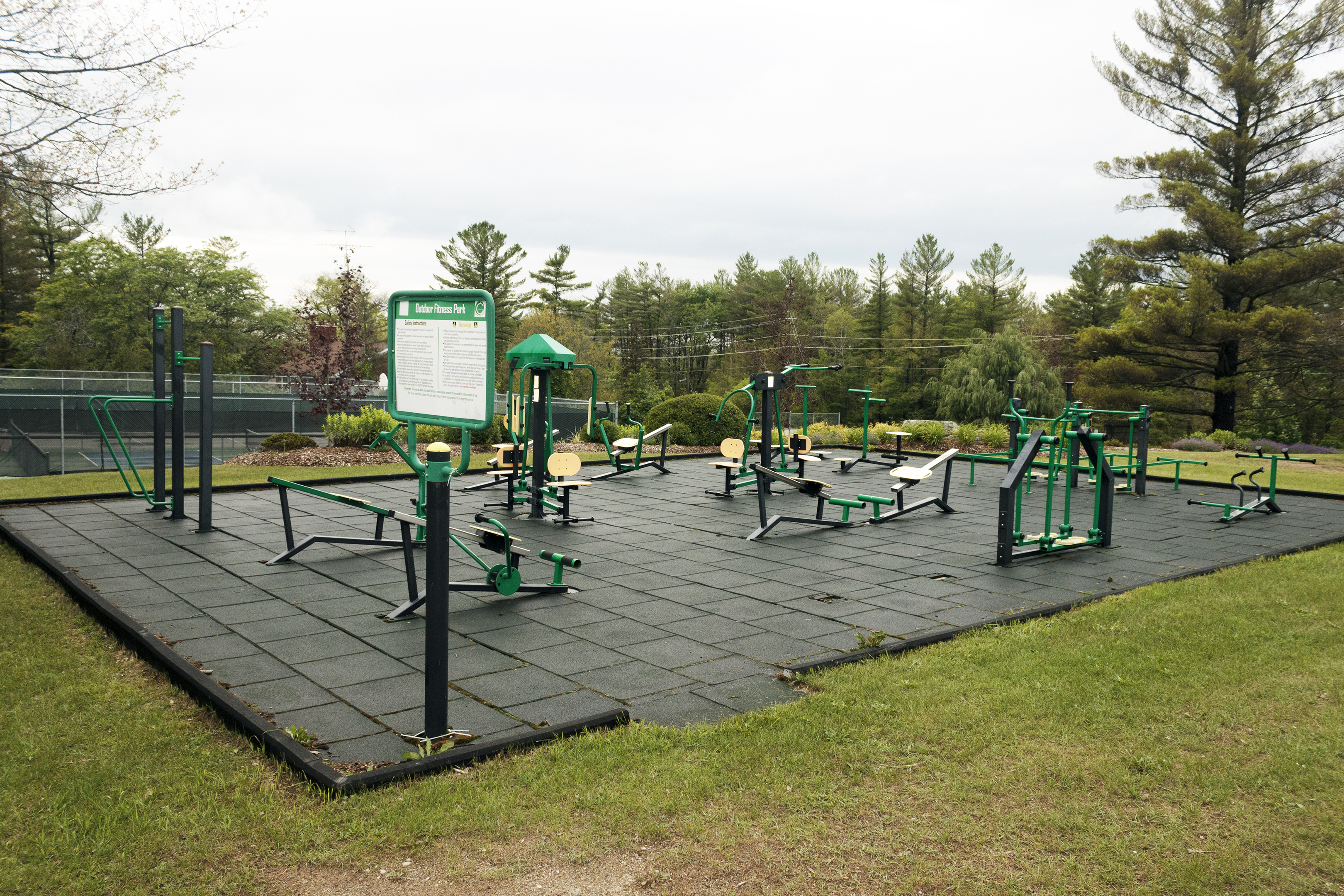 Committee makes a pitch for new seniors playground in Tiny