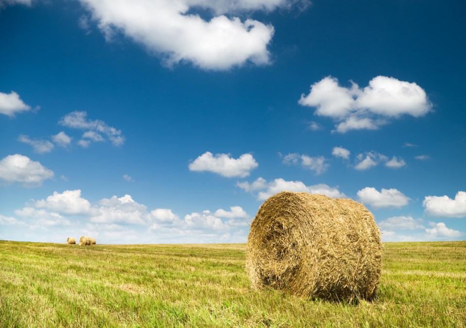 haybale shutterstock