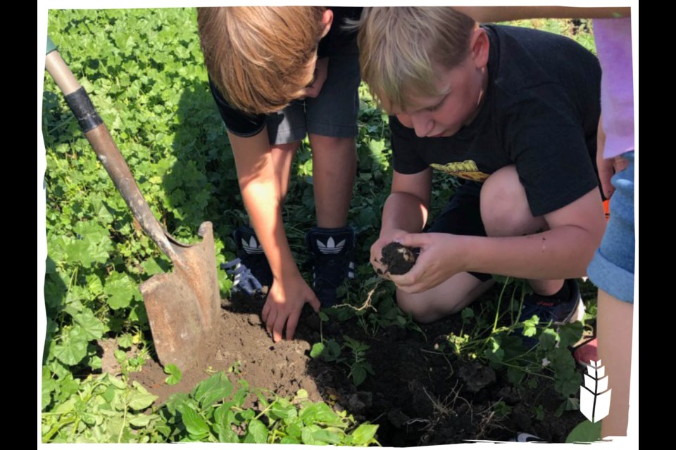 Agriculture in the Classroom Sask. is inviting those working in agriculture or looking for an agriculture-related career to showcase what they do in its new 'I Am Ag' campaign. 