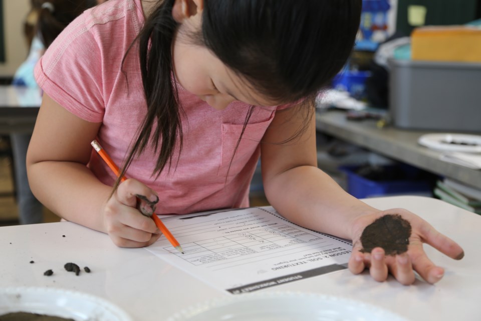 agriculture in the classroom