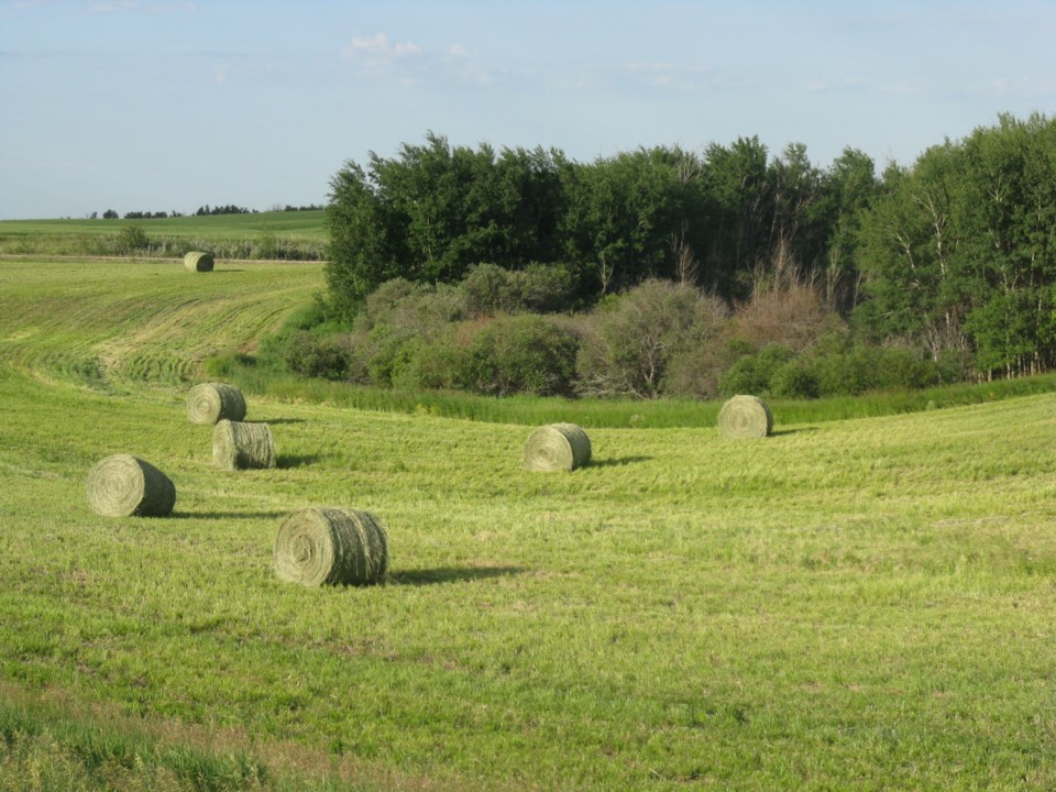 bales supplied