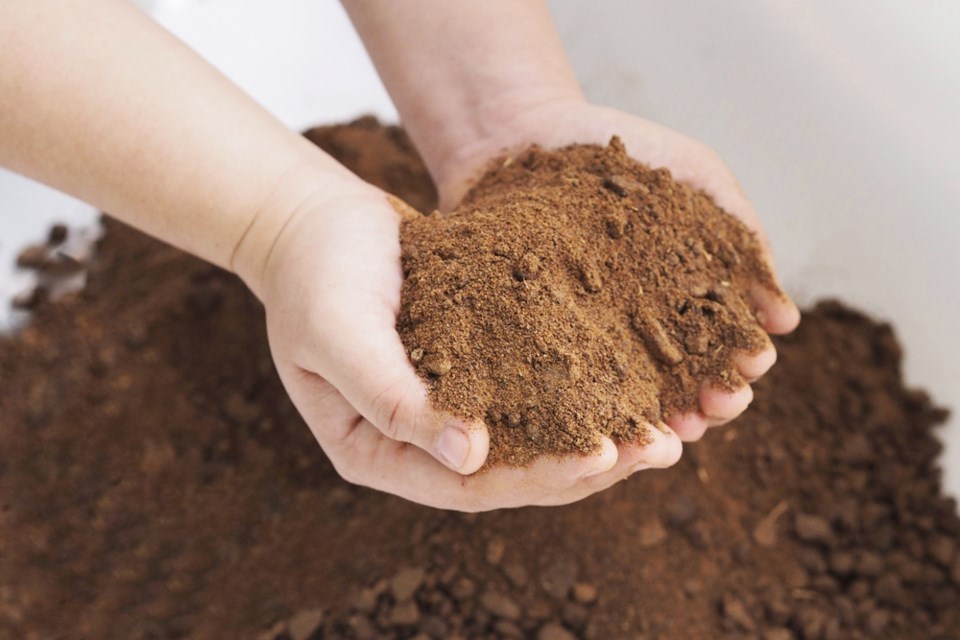 canola meal shutterstock