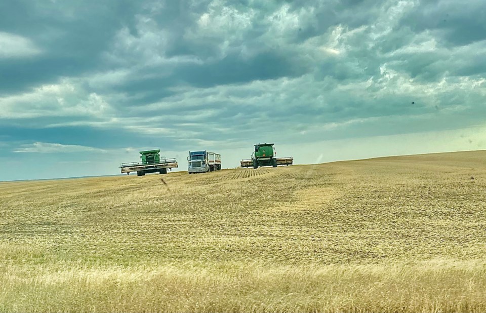 combines in field 2021 photo by eugenie officer