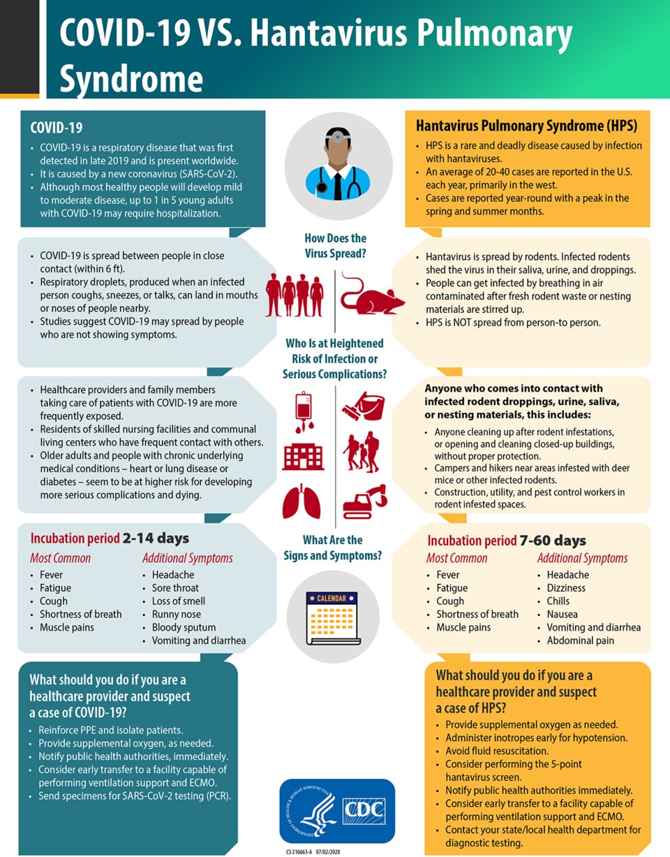 COVID hantavirus sheet
