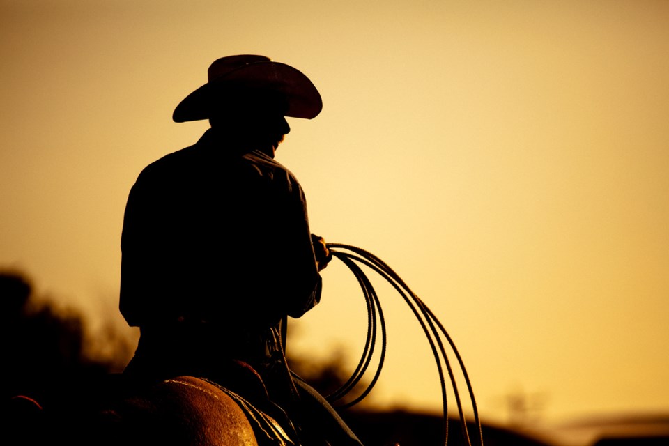 cowboy rodeo silhouette shutterstock