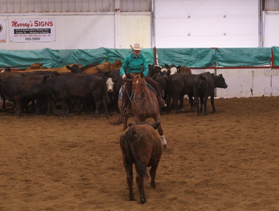 cowhorse show