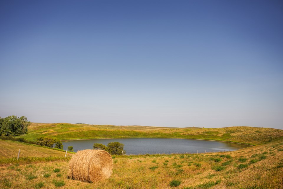 farm drainage stock