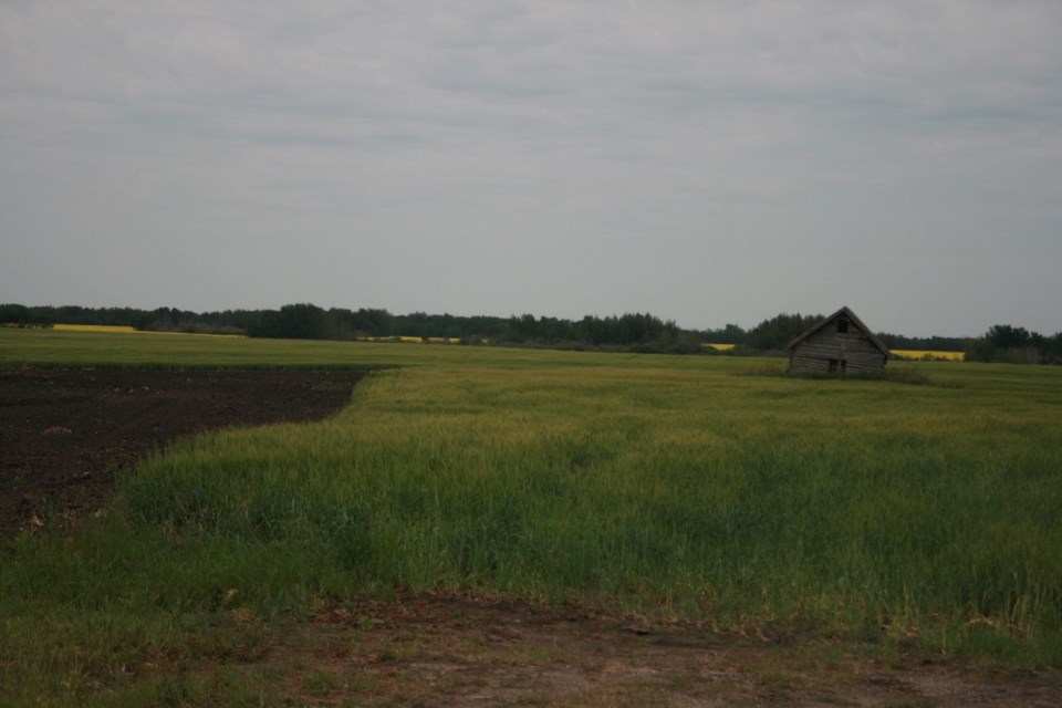 farm-field