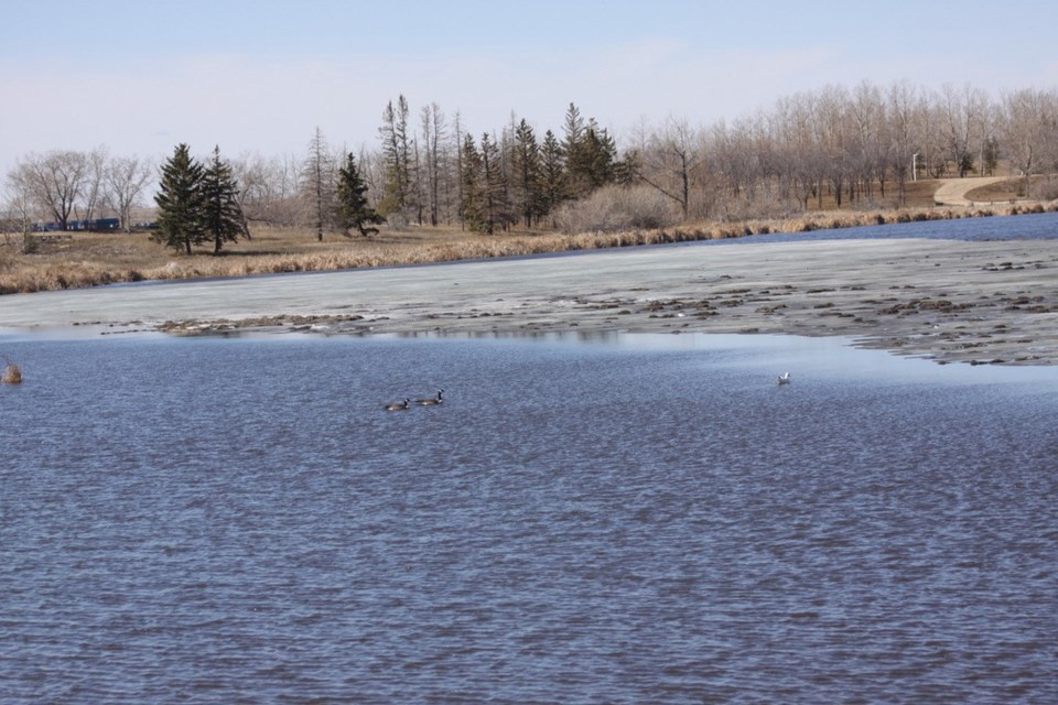 farm-pond