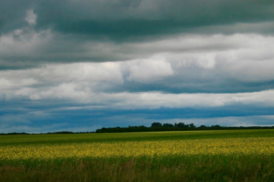 farm-scene-0725