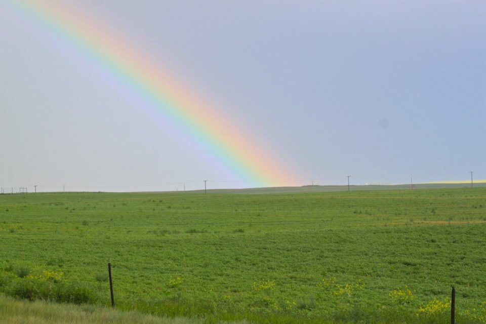 farmers field rainbow ron walter photo