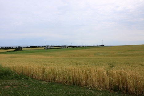 farmland-ron-walter