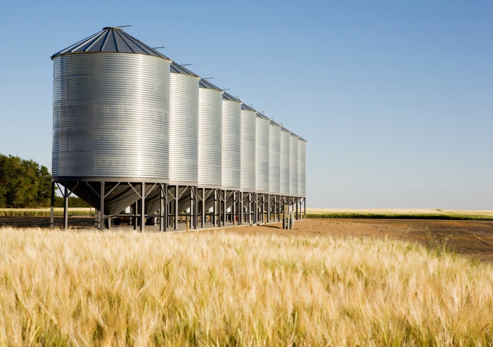 grain bins in field stock