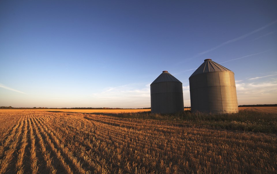 grain silos stock