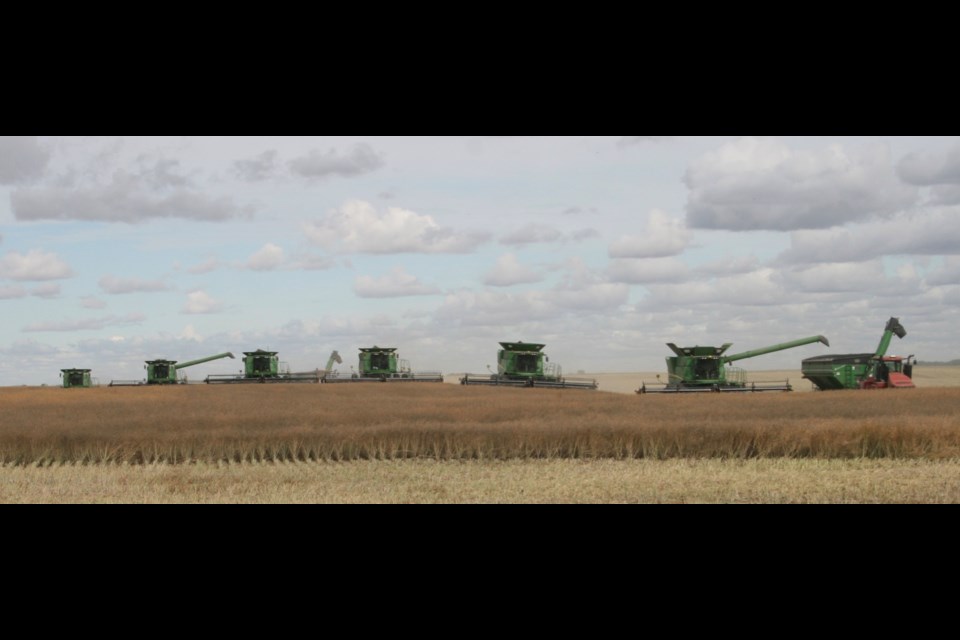 Six combines. Photo by Ron Walter