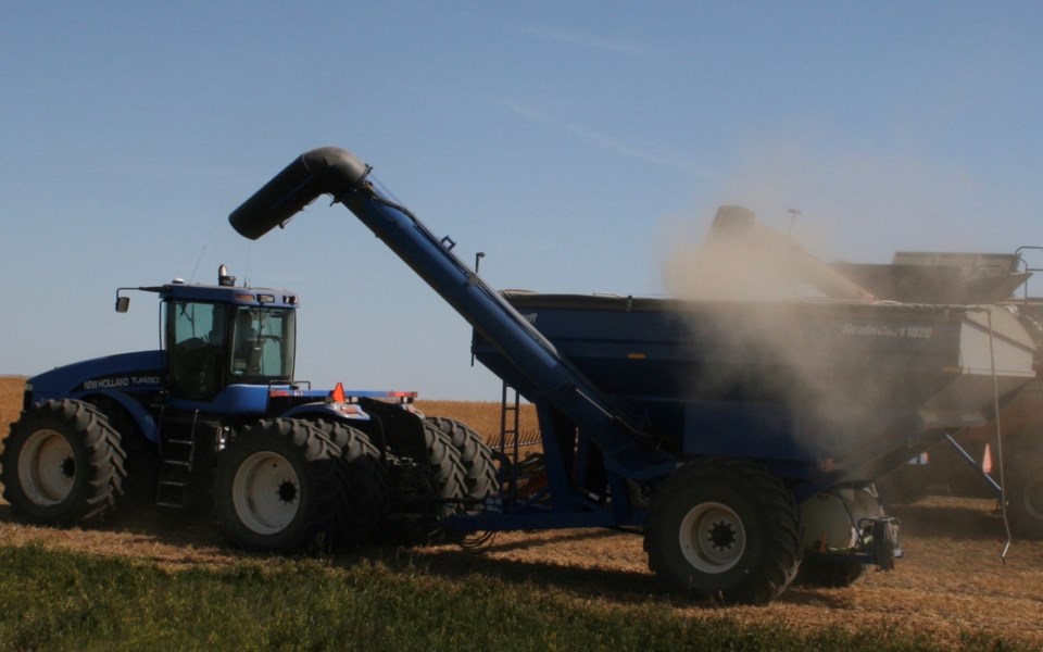 harvest 2019 photo by ron 2