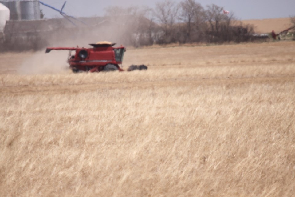 harvesting on mothers day