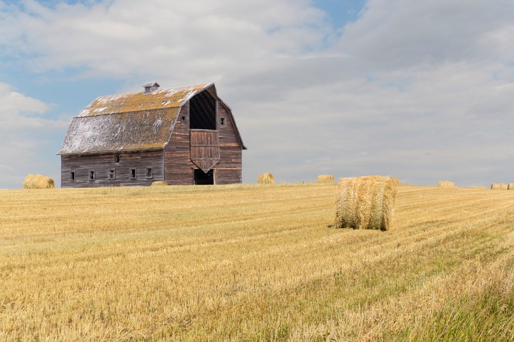 hay in field with old barn getty images