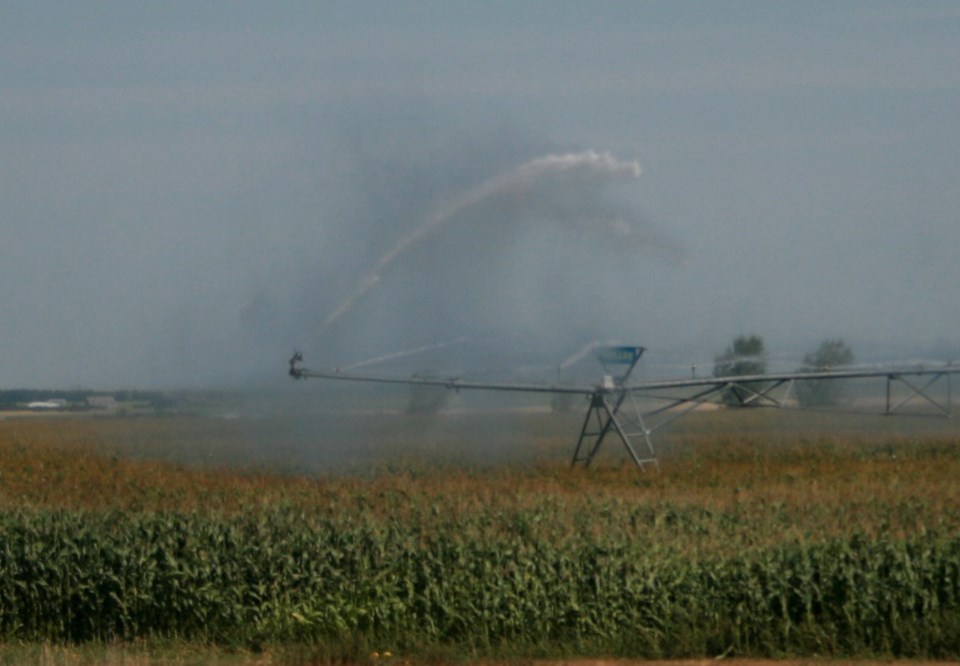 irrigation farming ron photo sept 2020