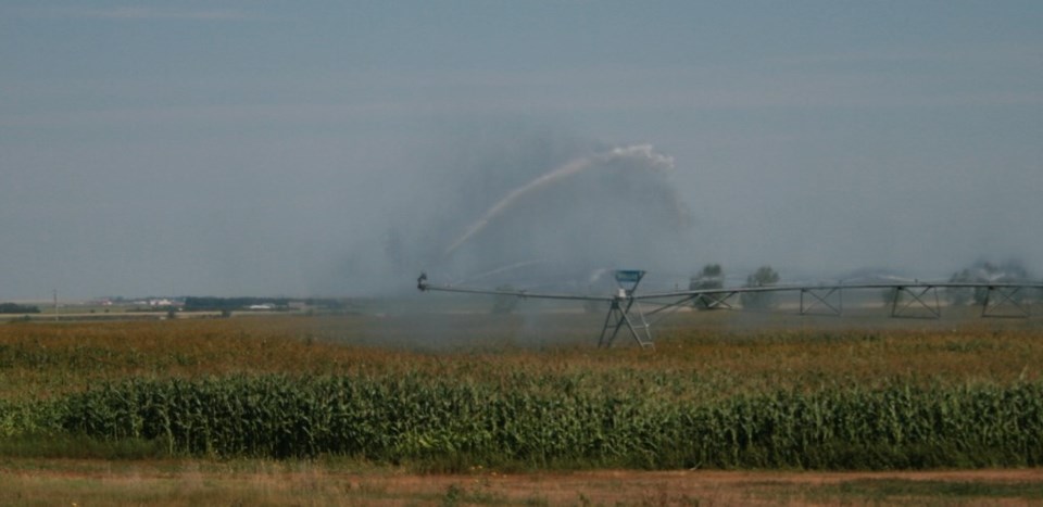 irrigation photo by ron walter summer 2021