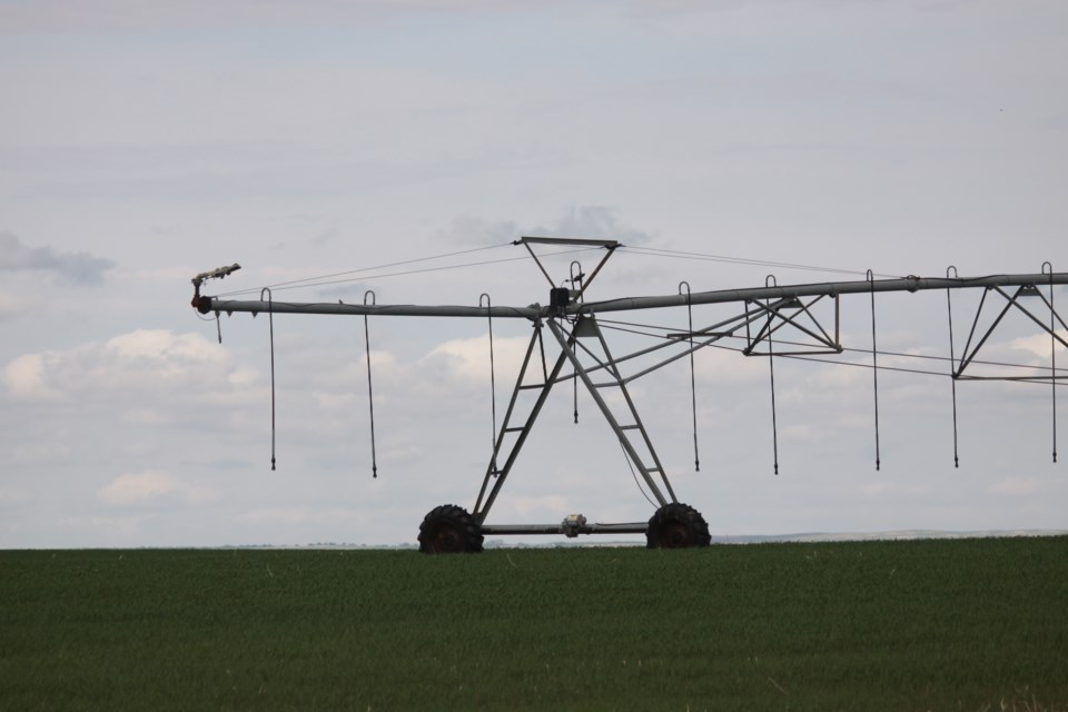 irrigation photo by ron walter