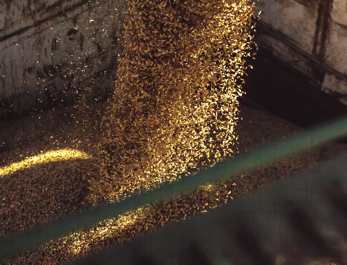 loading grain getty images