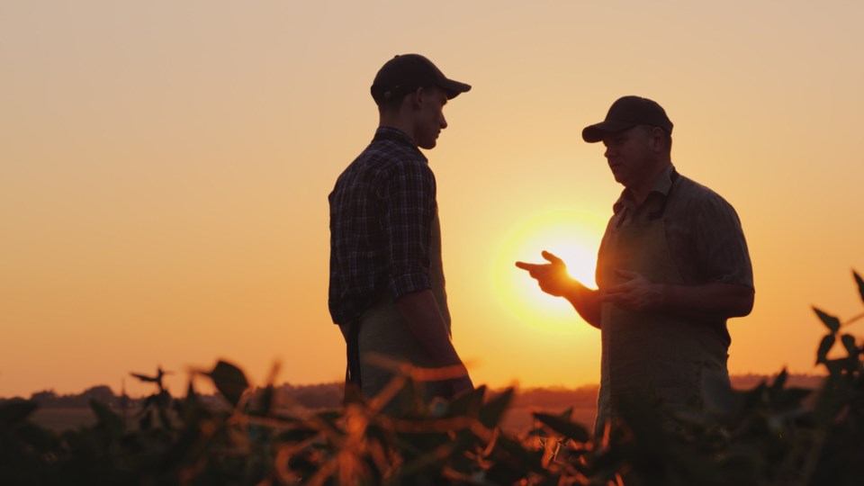 farmers in field silhouette