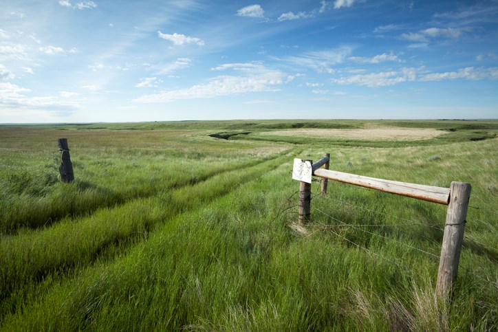 pasture land sw sask getty images