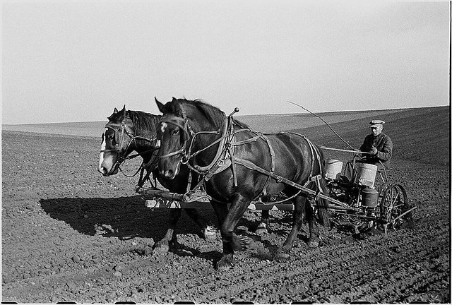 De sterfgevallen van “slaapziekte” (encefalitis) in 1941