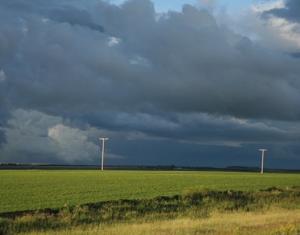 rain over field photo by ron