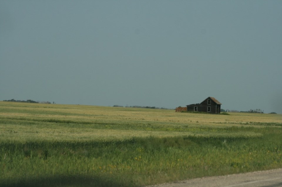 ron nov 2019 crop report