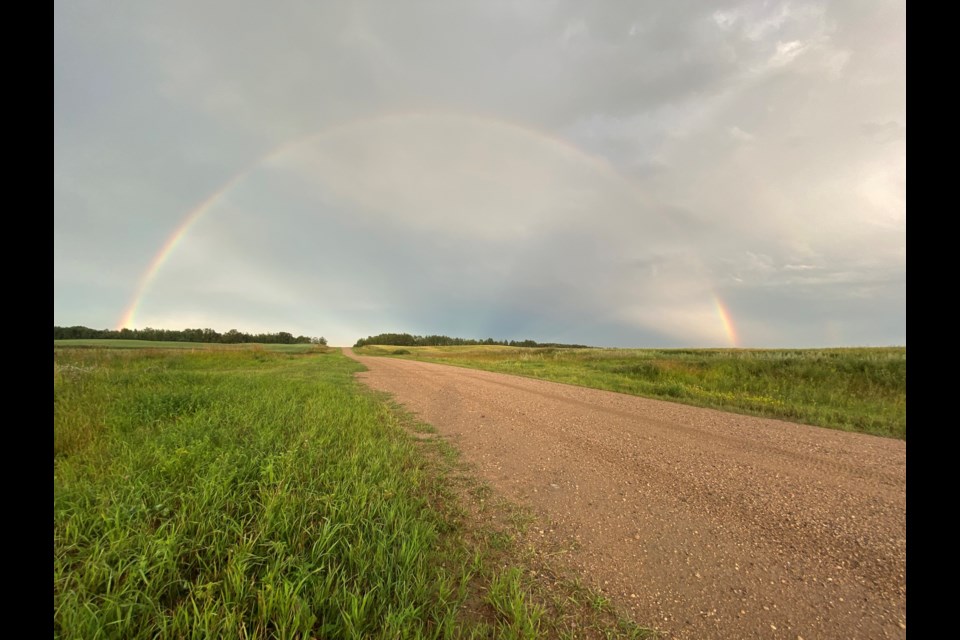 Crop producers who face low yields this year can benefit by diverting product to livestock producers.