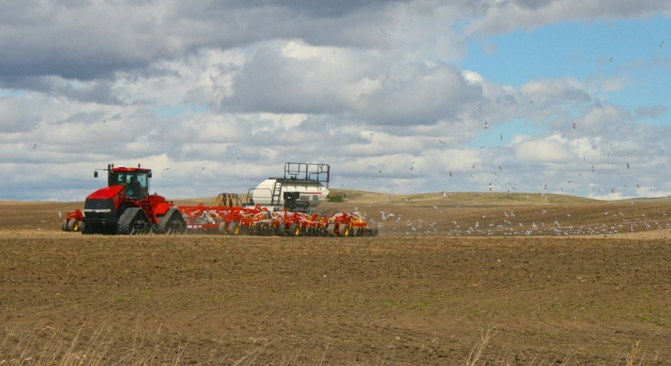 seeding case by ron walter