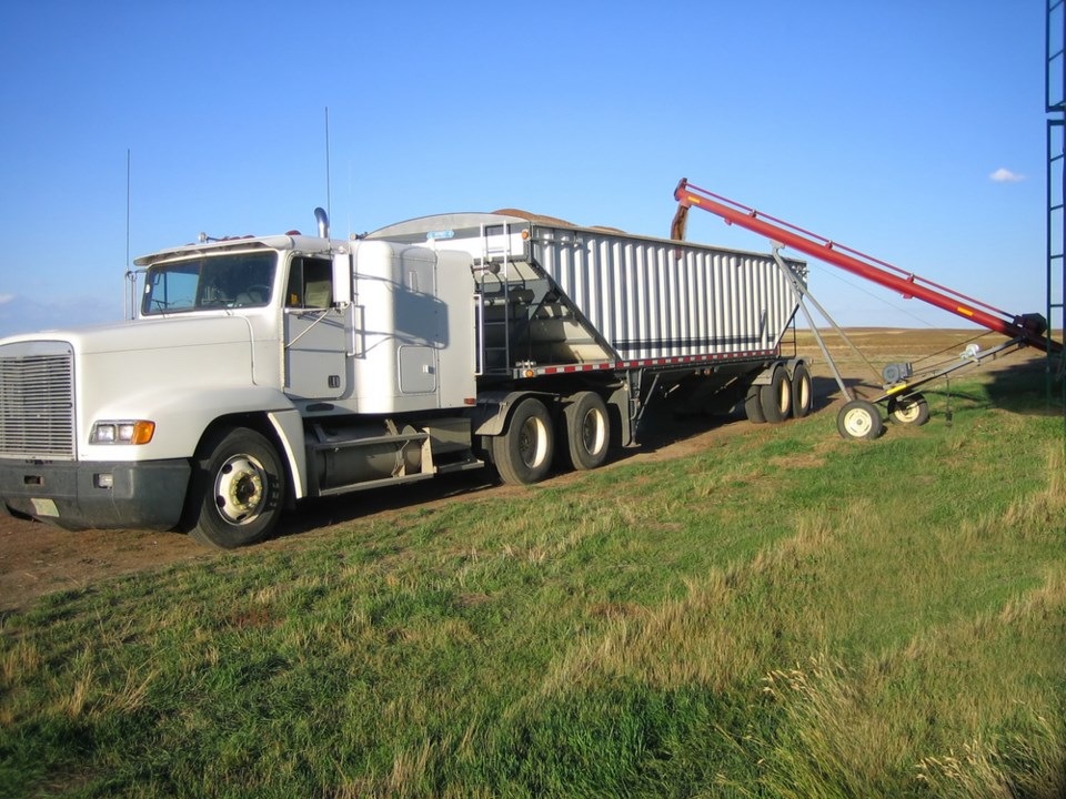 semi loading grain shutterstock