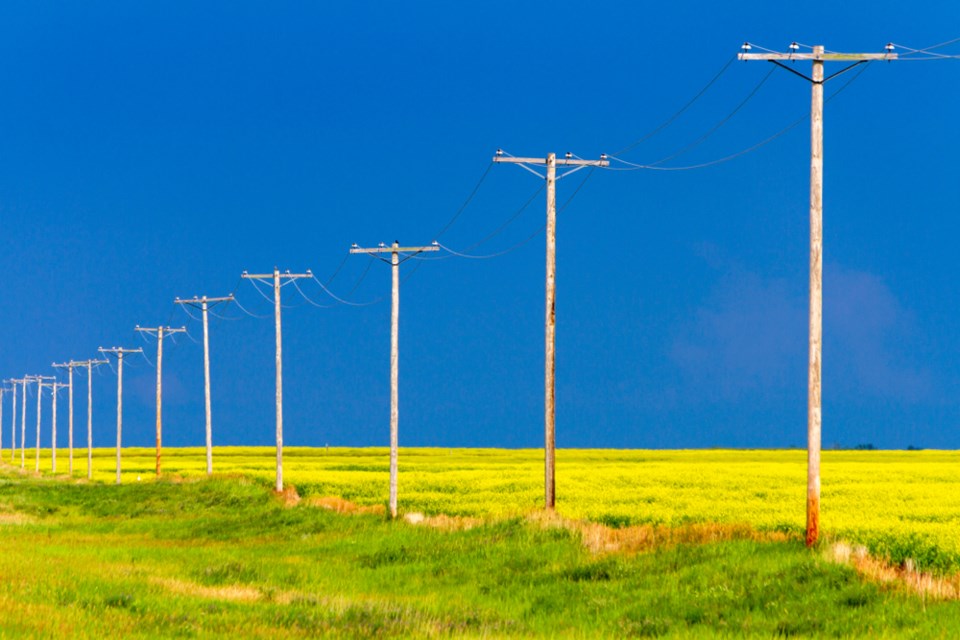 shutterstock power poles agriculture